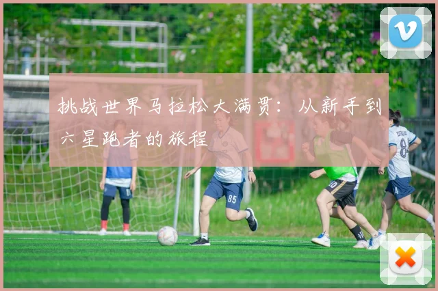 挑战世界马拉松大满贯：从新手到六星跑者的旅程